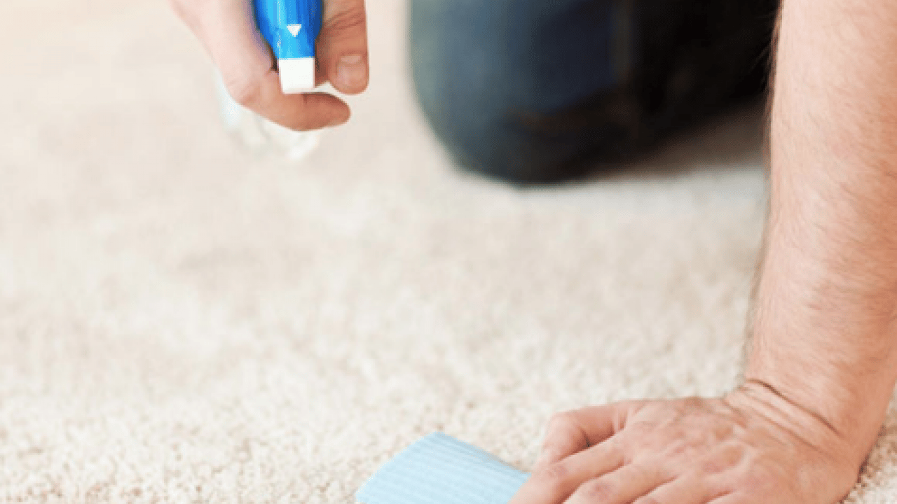 Foto - Halıdaki lekeleri saniyeler içinde yok eden formül! Ovalamaya gerek yok ki...
