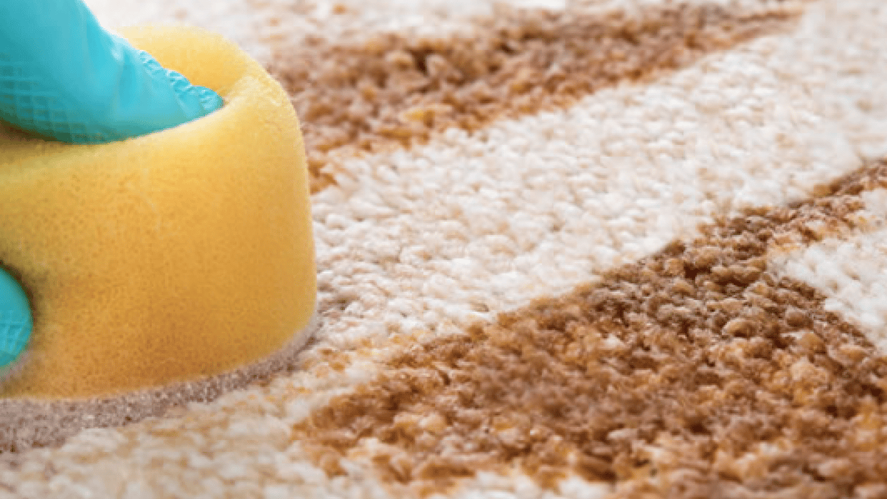 Foto - Halıdaki lekeleri saniyeler içinde yok eden formül! Ovalamaya gerek yok ki...