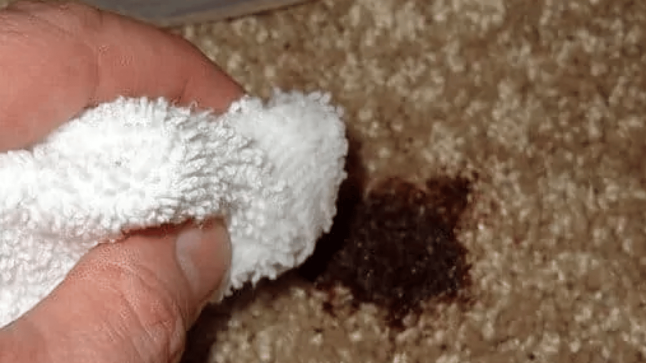 Foto - Halıdaki lekeleri saniyeler içinde yok eden formül! Ovalamaya gerek yok ki...