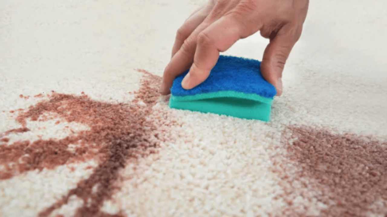 Foto - Halıdaki lekeleri saniyeler içinde yok eden formül! Ovalamaya gerek yok ki...