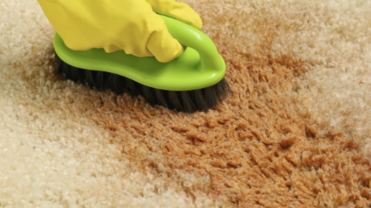 Foto - Halıdaki lekeleri saniyeler içinde yok eden formül! Ovalamaya gerek yok ki...