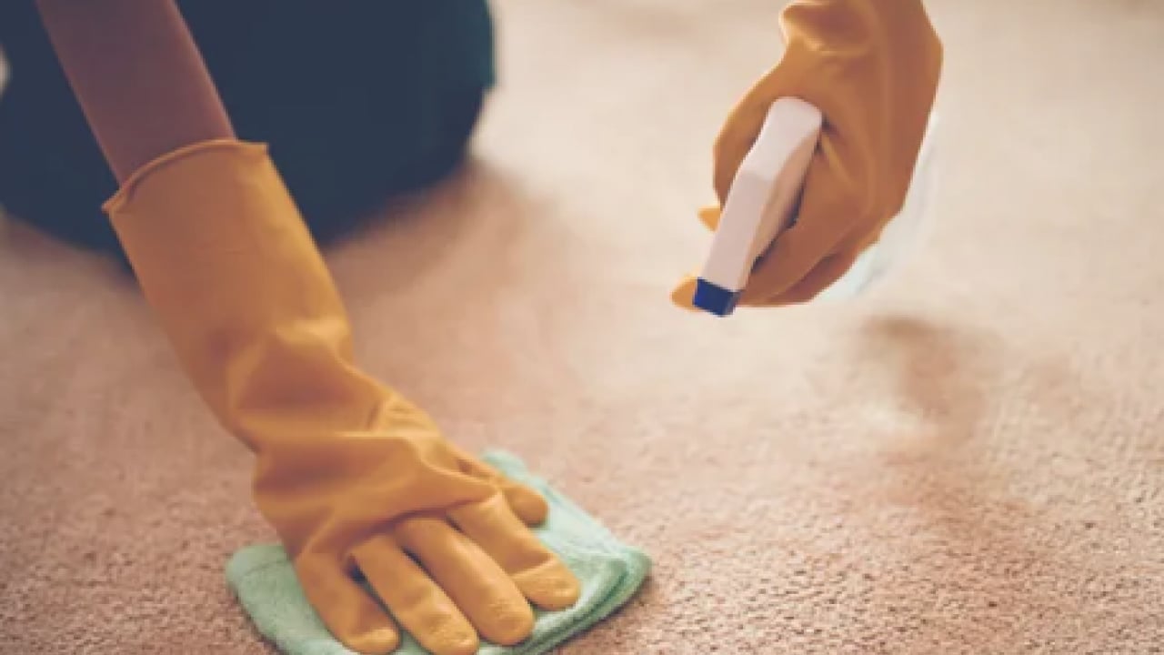 Foto - Halıdaki lekeleri saniyeler içinde yok eden formül! Ovalamaya gerek yok ki...