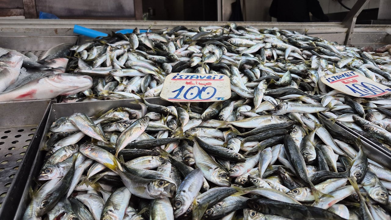 Foto - Hamsi 200 liraya çıktı! Tezgahların yeni gözdesi 100 liralık istavrit