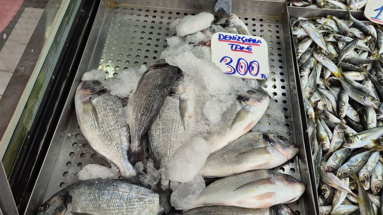 Foto - Hamsi 200 liraya çıktı! Tezgahların yeni gözdesi 100 liralık istavrit