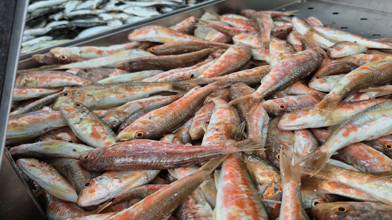 Foto - Hamsi 200 liraya çıktı! Tezgahların yeni gözdesi 100 liralık istavrit