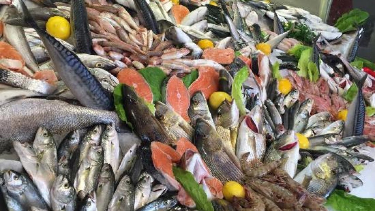 Hamsi bolluğu! Kilosu 50 TL!