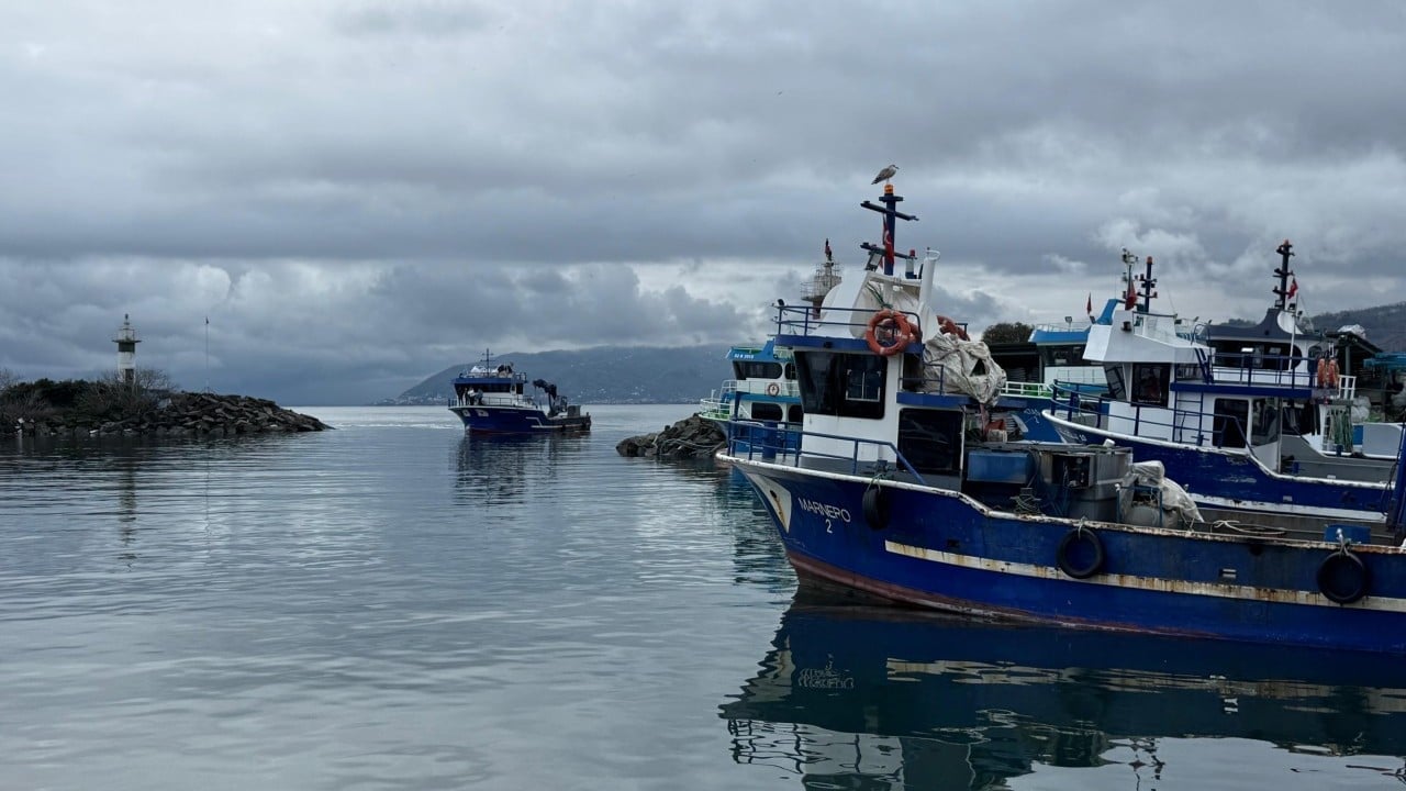 Foto - Hamsi 'bunaldı' Gürcistan'a kaçtı