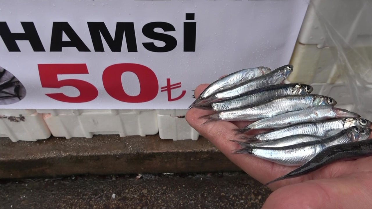 Foto - Hamsi izdihamı! Balıkçı öyle bir fiyat açıkladı ki…