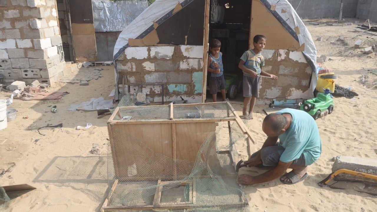 Foto - Han Yunus küllerinden doğuyor