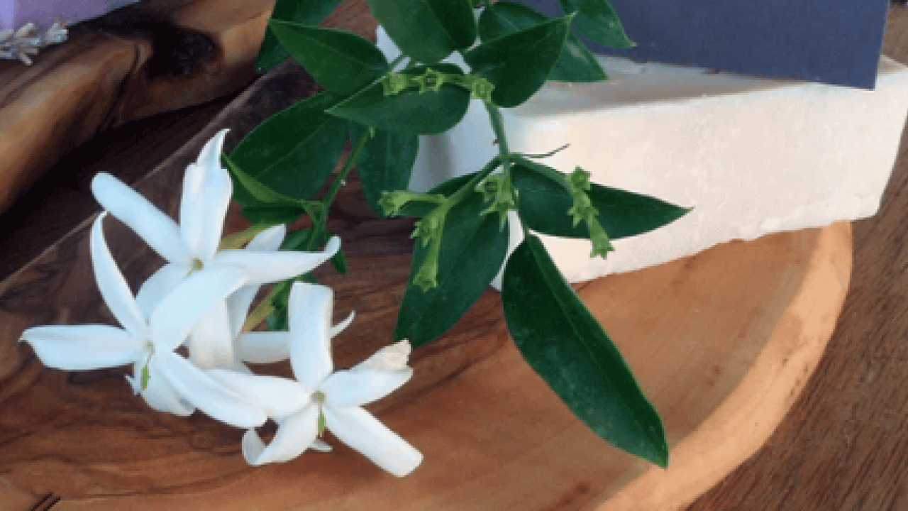 Foto - Hangi sabun hangi hastalığa iyi gelir? Ustaların sır gibi sakladığı 45 tane o sabun... Köpük sabun sağlıklı mı?