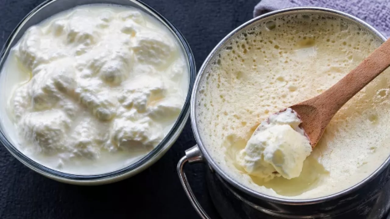 Foto - Hangisi bir adım önde? Yoğurt mu kefir mi? Hangisi daha faydalı?