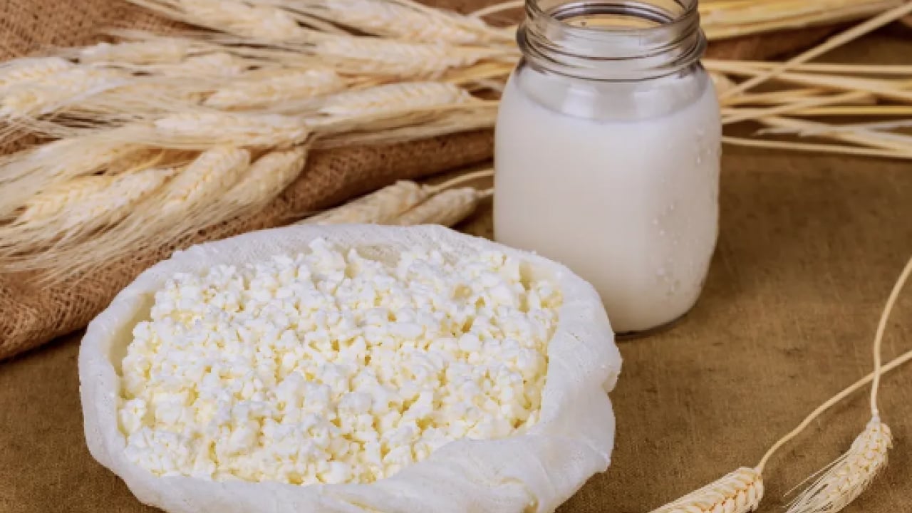 Foto - Hangisi bir adım önde? Yoğurt mu kefir mi? Hangisi daha faydalı?