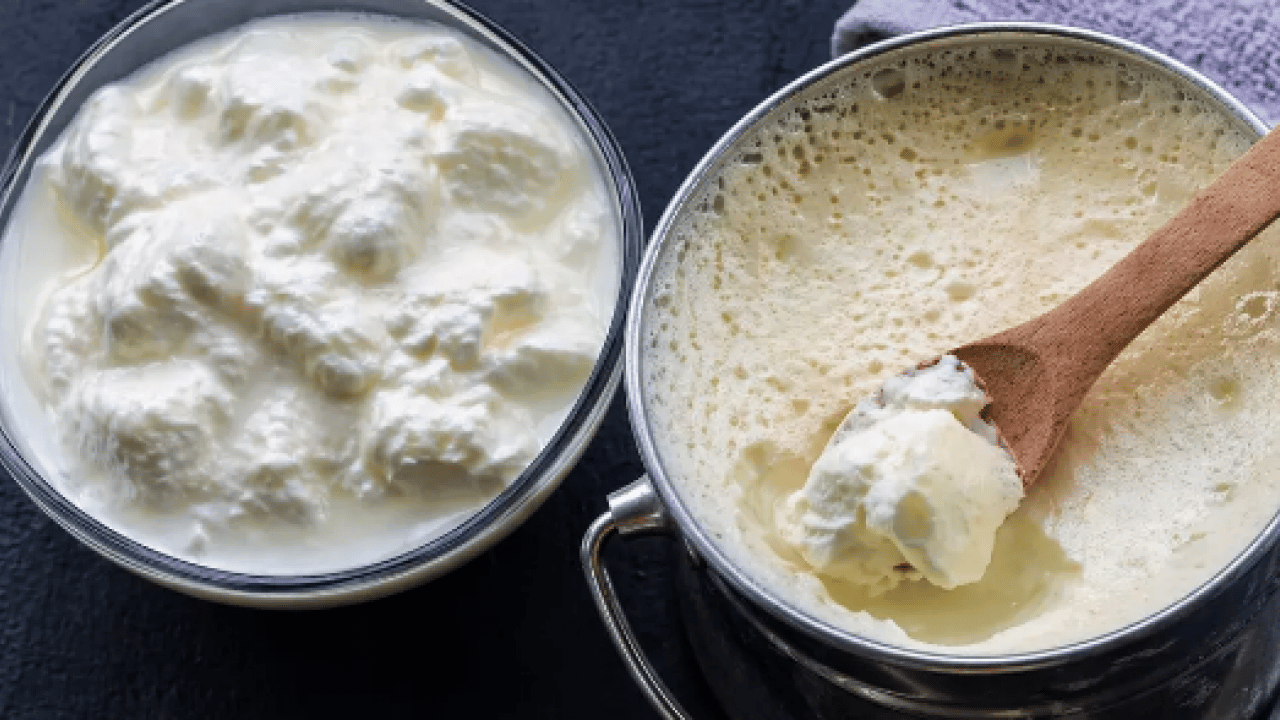Foto - Hangisi bir adım önde? Yoğurt mu kefir mi? Hangisi daha faydalı?