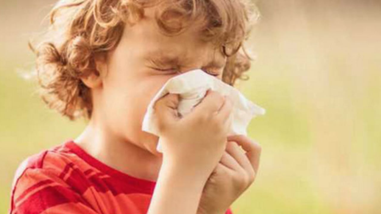 Foto - Hapşırma krizleri, burun akıntısı ve kaşıntı... Uzmanlara kulak verin yoksa?!?