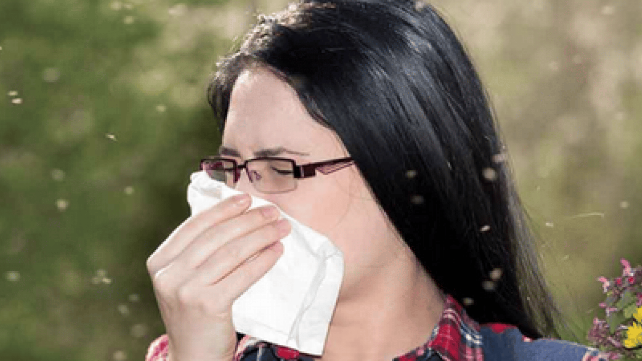 Hapşırma krizleri, burun akıntısı ve kaşıntı... Uzmanlara kulak verin yoksa?!?