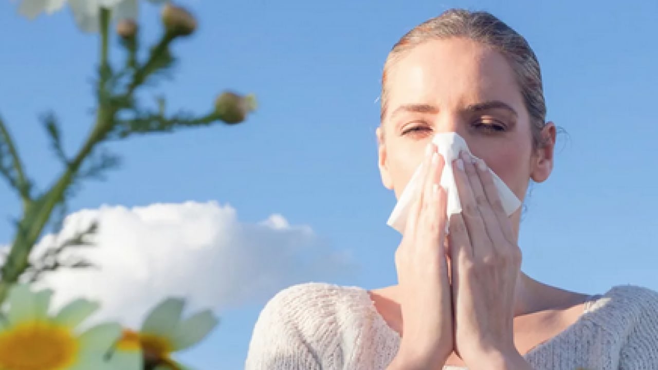 Foto - Hapşırma krizleri, burun akıntısı ve kaşıntı... Uzmanlara kulak verin yoksa?!?
