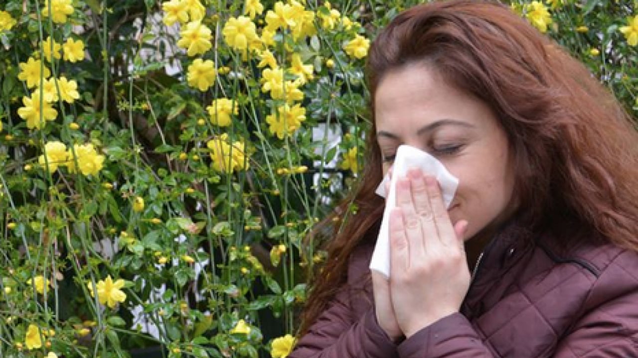 Foto - Hapşırma krizleri, burun akıntısı ve kaşıntı... Uzmanlara kulak verin yoksa?!?