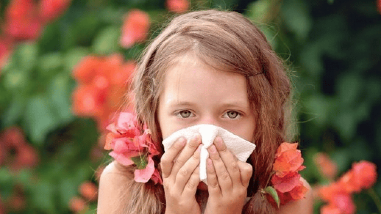 Foto - Hapşırma krizleri, burun akıntısı ve kaşıntı... Uzmanlara kulak verin yoksa?!?