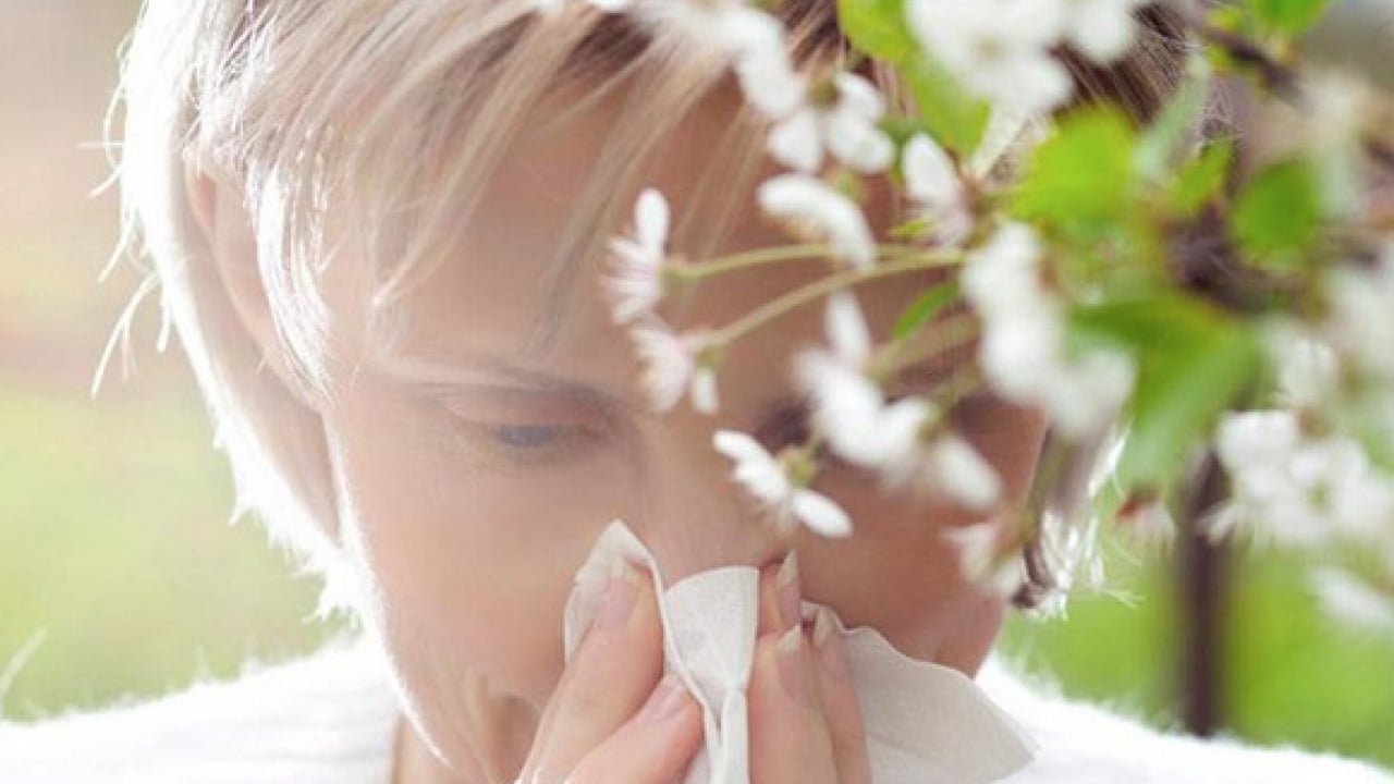 Foto - Hapşırma krizleri, burun akıntısı ve kaşıntı... Uzmanlara kulak verin yoksa?!?