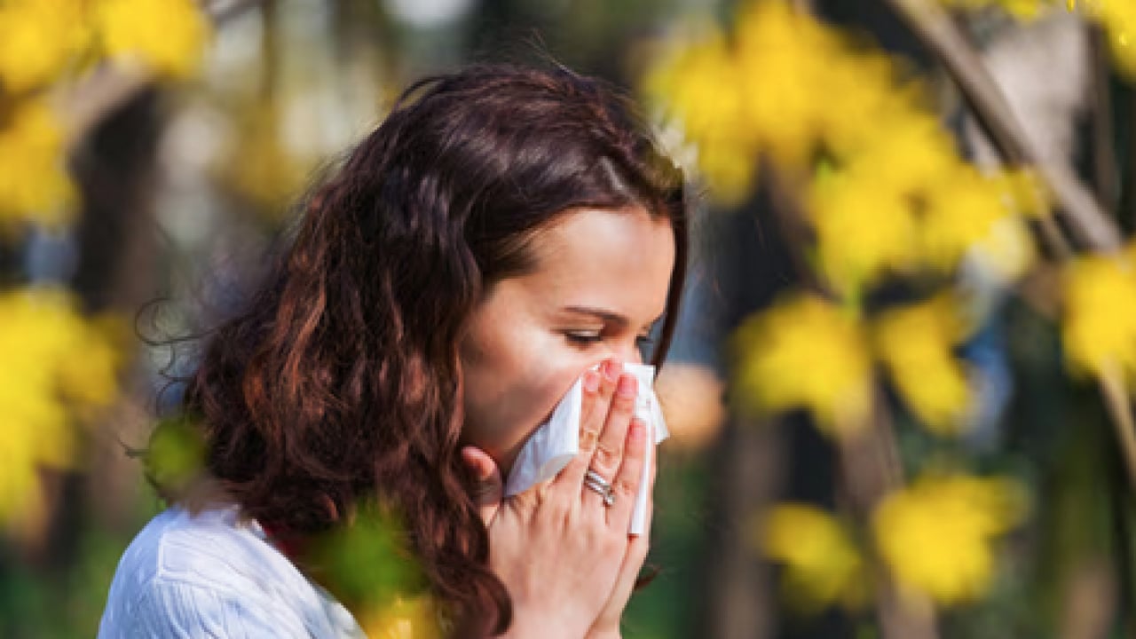 Foto - Hapşırma krizleri, burun akıntısı ve kaşıntı... Uzmanlara kulak verin yoksa?!?