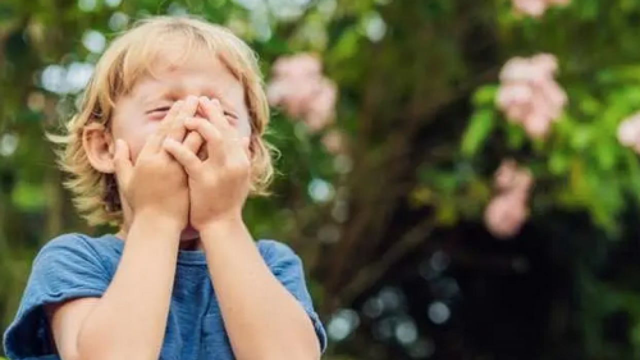 Foto - Hapşırma krizleri, burun akıntısı ve kaşıntı... Uzmanlara kulak verin yoksa?!?