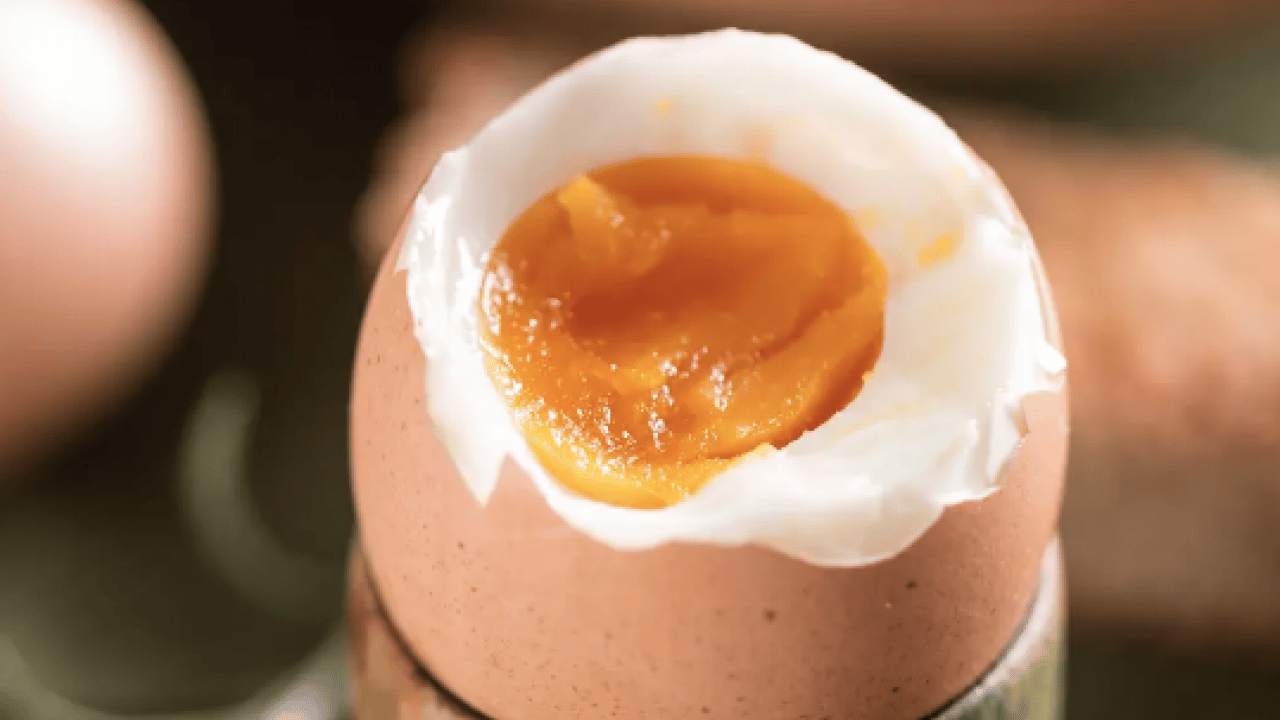 Foto - Harcanan zamana dikkat edin! Yumurtada yeşil renk neden olur?