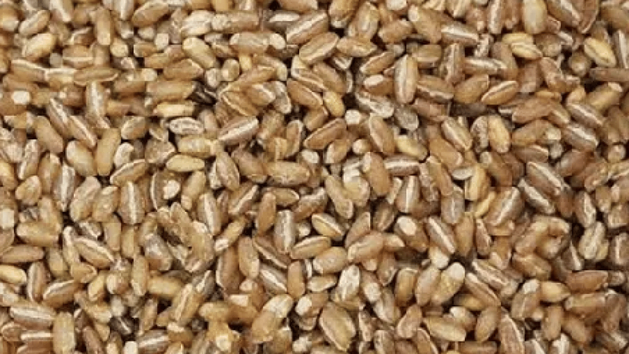 Foto - Has aromasıyla... Sofraların yeni yıldızı olacak! Hem sağlıklı hem lezzetli