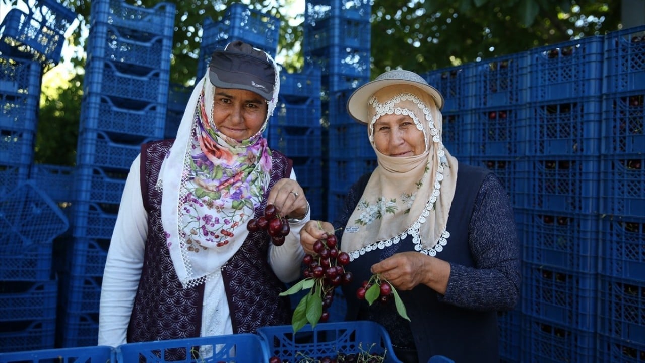 Foto - Hasadı devam ediyor! Yurt dışından yoğun talep görüyor