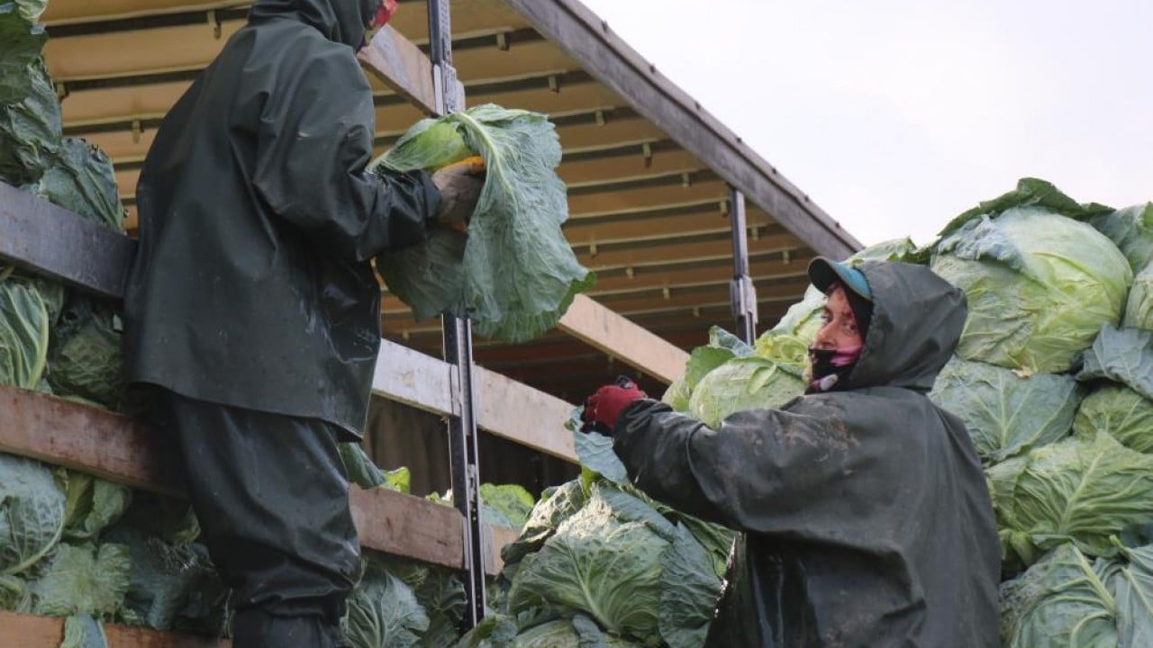 Hasadın yükü kadınların omuzunda