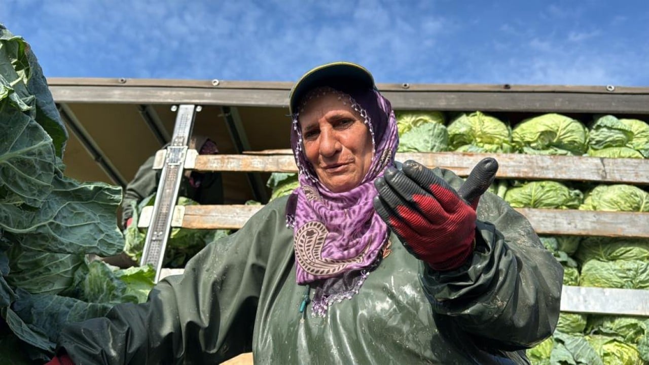Foto - Hasadın yükü kadınların omuzunda