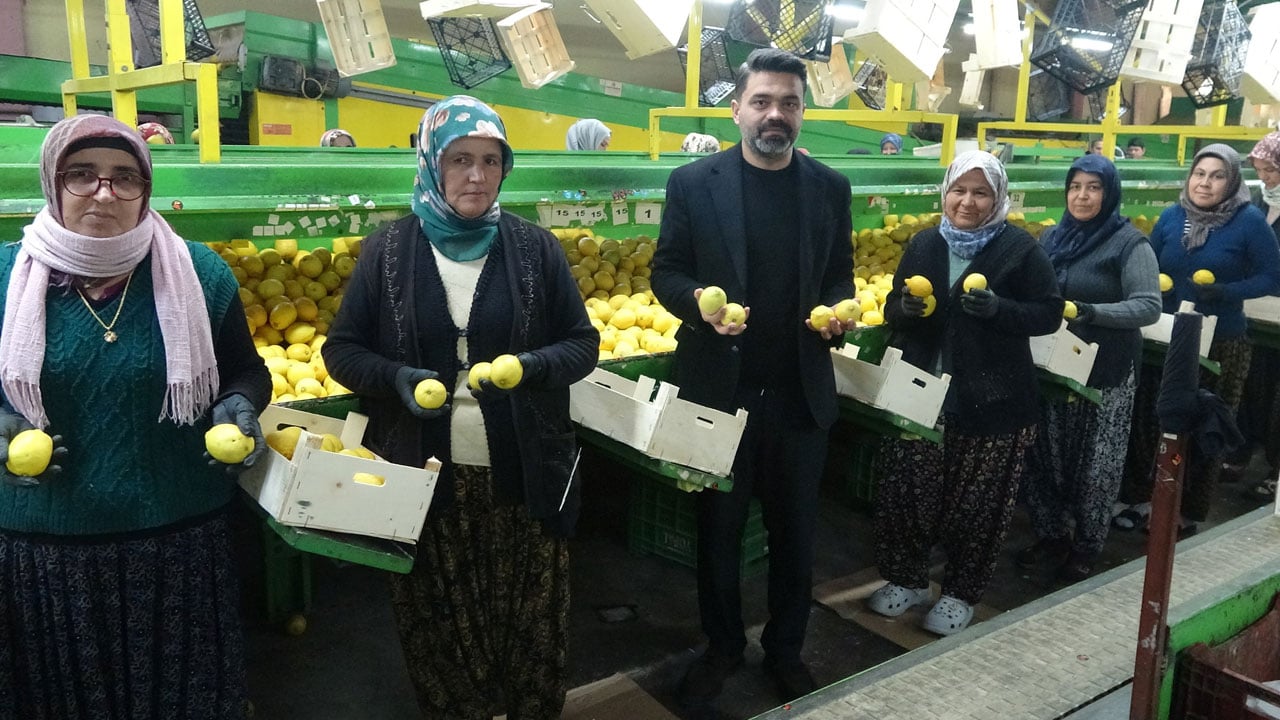 Foto - Hasat sezonu bitiyor! Bahçede 35 lira, tezgahta 160 lira