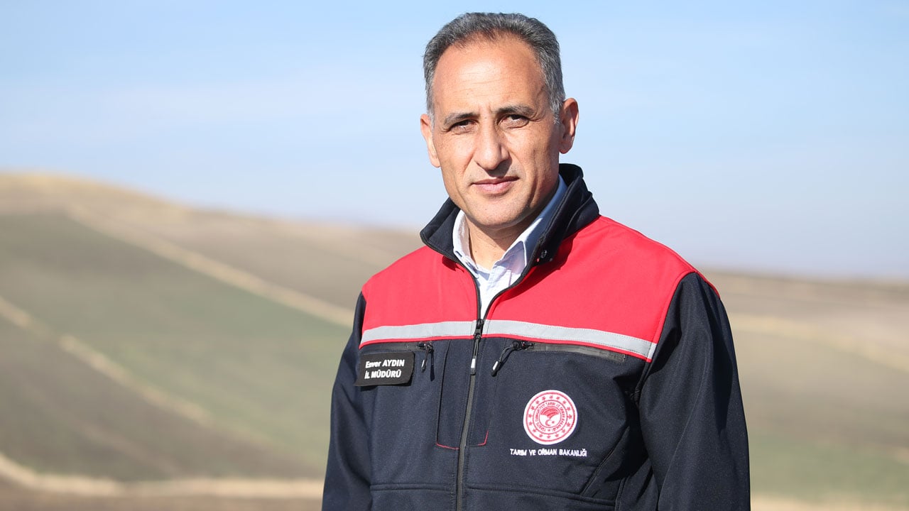 Foto - Hasat sonrası büyüleyen manzara! Tarlalar "halı desenine" büründü