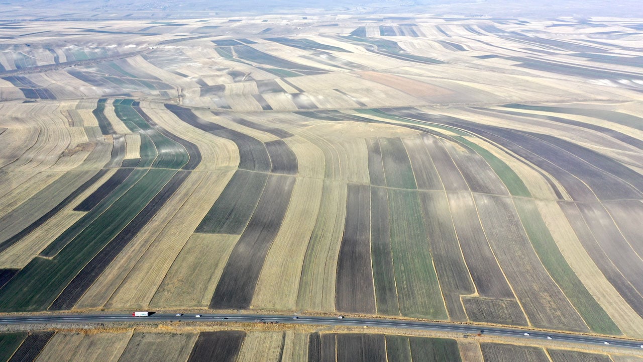Foto - Hasat sonrası büyüleyen manzara! Tarlalar "halı desenine" büründü