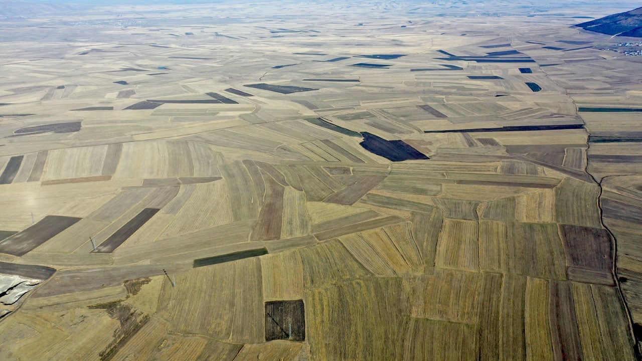 Foto - Hasat sonrası büyüleyen manzara! Tarlalar "halı desenine" büründü