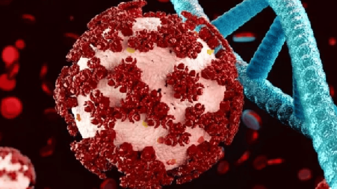 Foto - Hasta olmamak için C vitamini önerisi bol bol tüketin! Sadece portakal mandalina ve limon yetmez