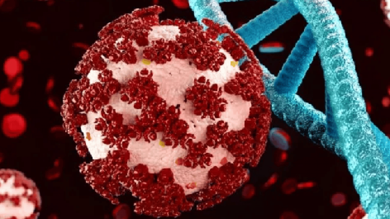 Foto - Hasta olmamak için C vitamini önerisi bol bol tüketin! Sadece portakal mandalina ve limon yetmez