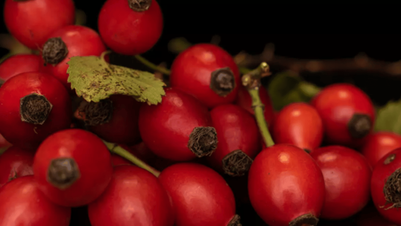Foto - Hastalık yüzü göstermiyor: Bağışıklık sistemini şaha kaldırıyor