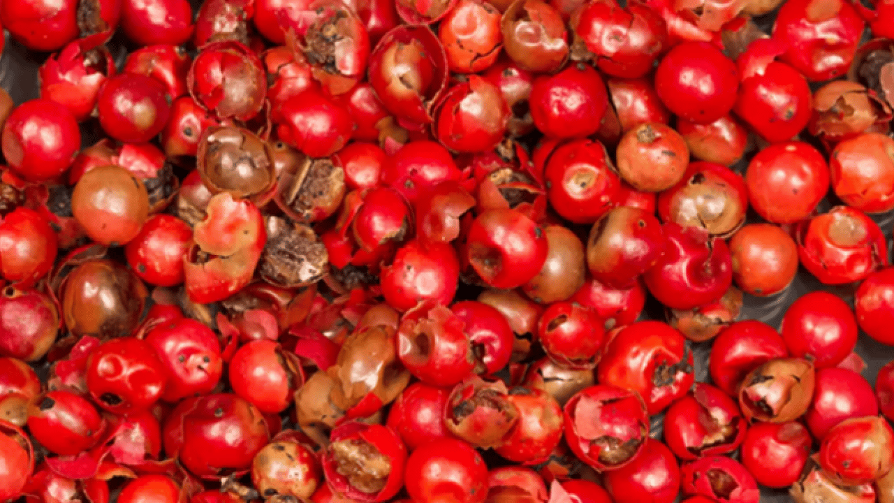 Foto - Hastalık yüzü göstermiyor: Bağışıklık sistemini şaha kaldırıyor