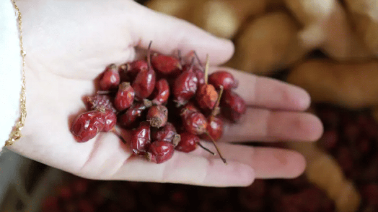 Foto - Hastalıkların organik tedavisi olarak görülüyor! Kilosu 250 liraya satılıyor