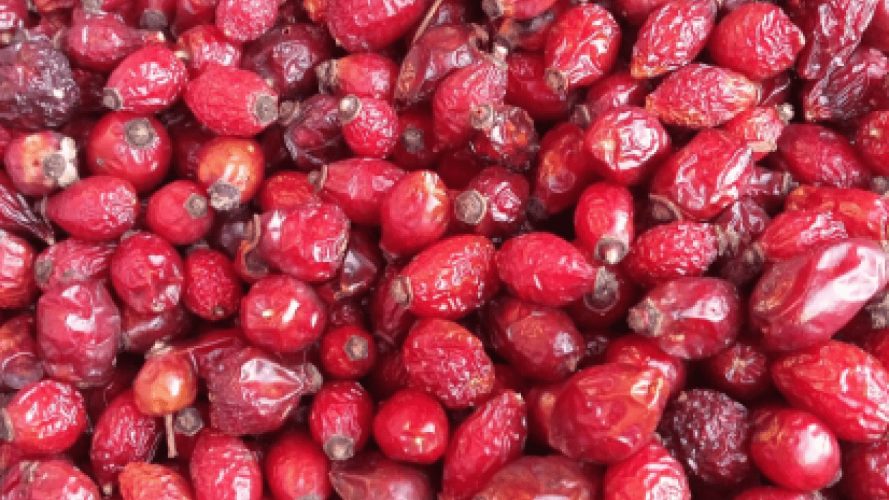 Hastalıkların organik tedavisi olarak görülüyor! Kilosu 250 liraya satılıyor