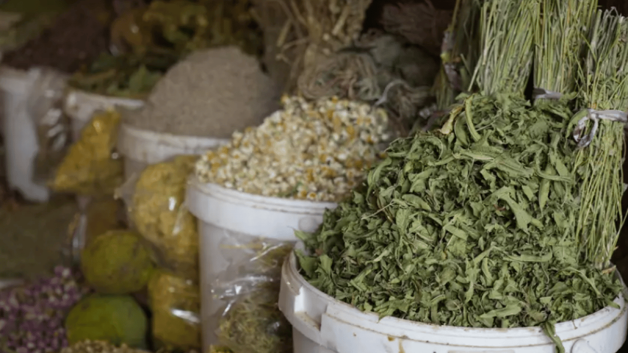 Foto - Hastalıkların organik tedavisi olarak görülüyor! Kilosu 250 liraya satılıyor