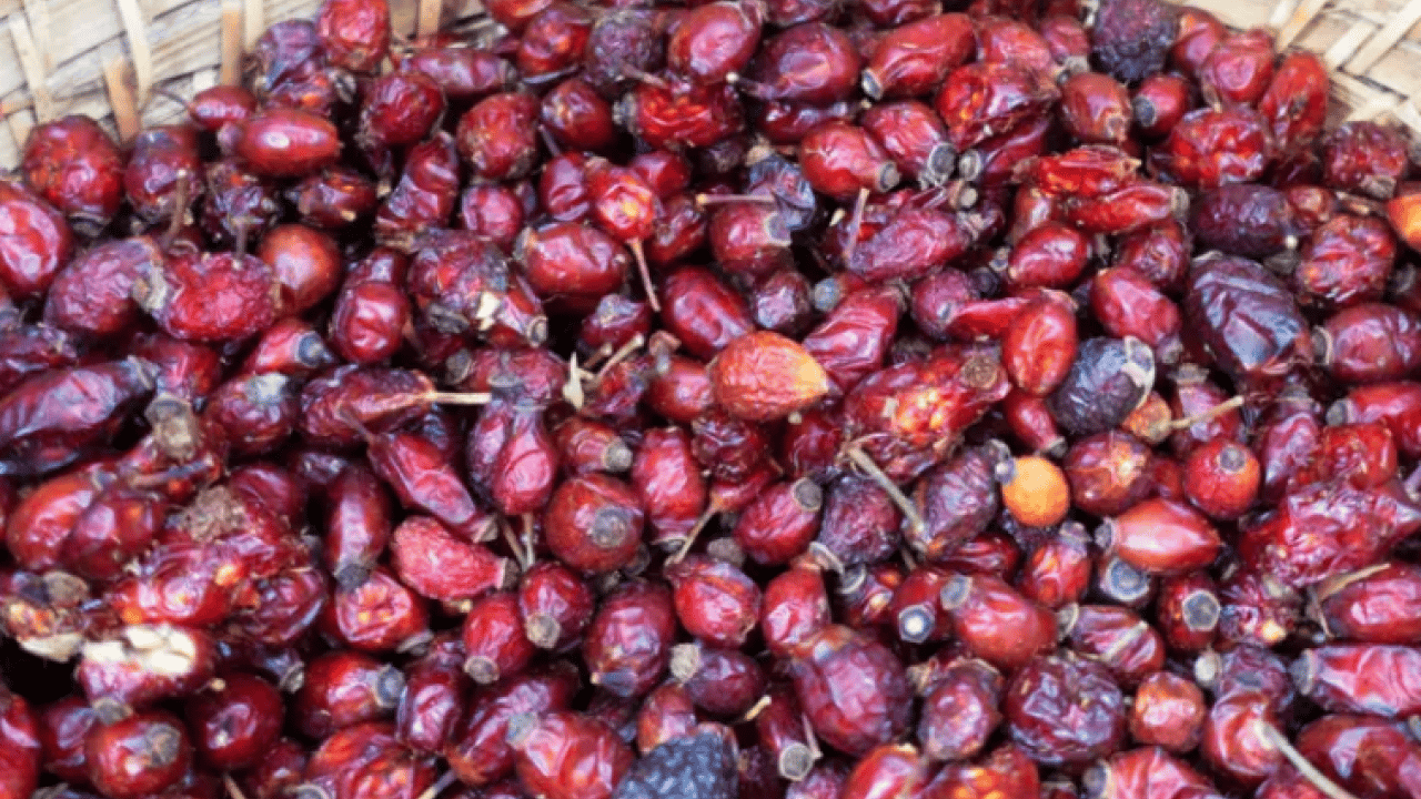 Foto - Hastalıkların organik tedavisi olarak görülüyor! Kilosu 250 liraya satılıyor