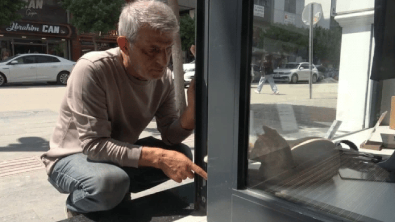 Foto - Hatay'da iç ısıtan görüntüler! Mağaza onlara yuva oldu!