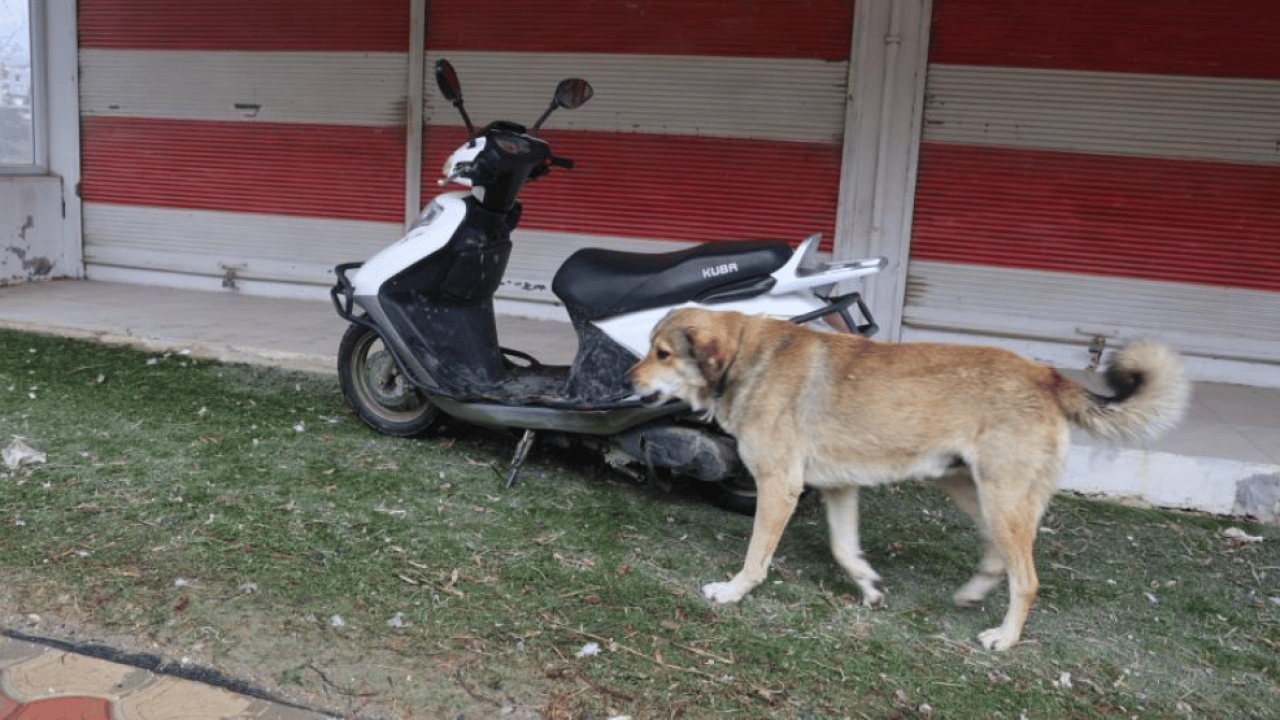 Foto - Hatay’da kırmızı alarm! 4 mahalle karantinaya alındı