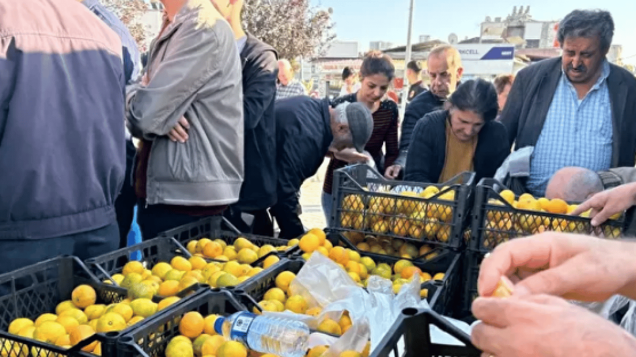 Foto - Hatay'da üreticiler alıcı çıkmayan tonlarca mandalinayı ücretsiz dağıttı