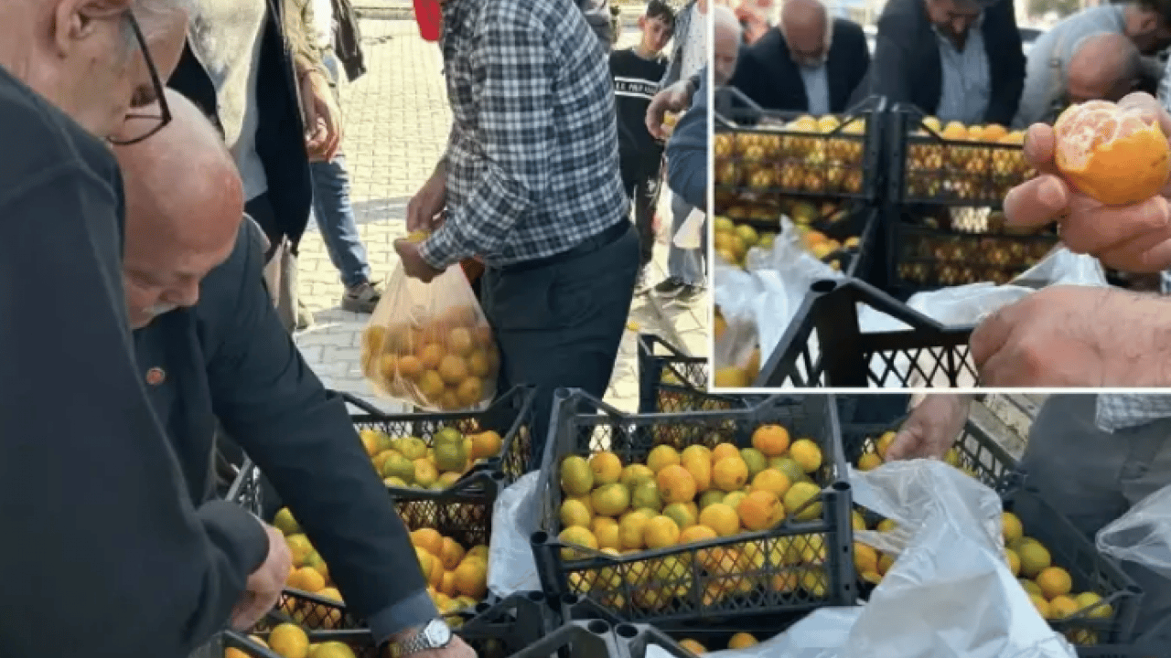 Foto - Hatay'da üreticiler alıcı çıkmayan tonlarca mandalinayı ücretsiz dağıttı