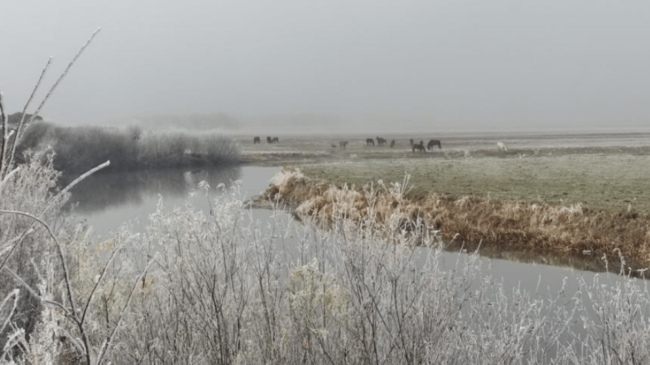 Foto - Hava sıcaklığı eksi 14 dereceyi gördü! O ilçe buz tuttu