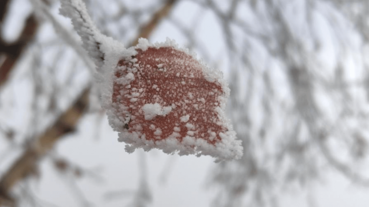 Hava sıcaklığı eksi 14 dereceyi gördü! O ilçe buz tuttu