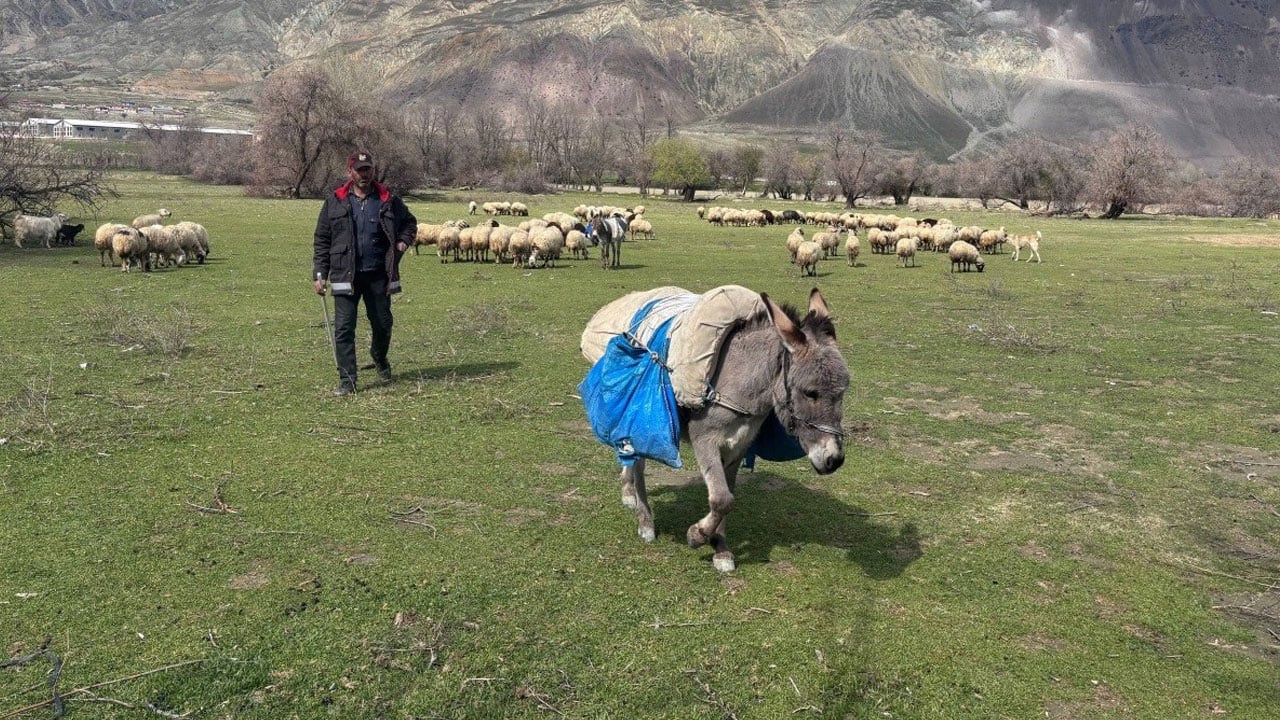 Foto - Havalar ısındı maliyet düştü! Üretici bu yöntemle günde 6 bin lira tasarruf ediyor