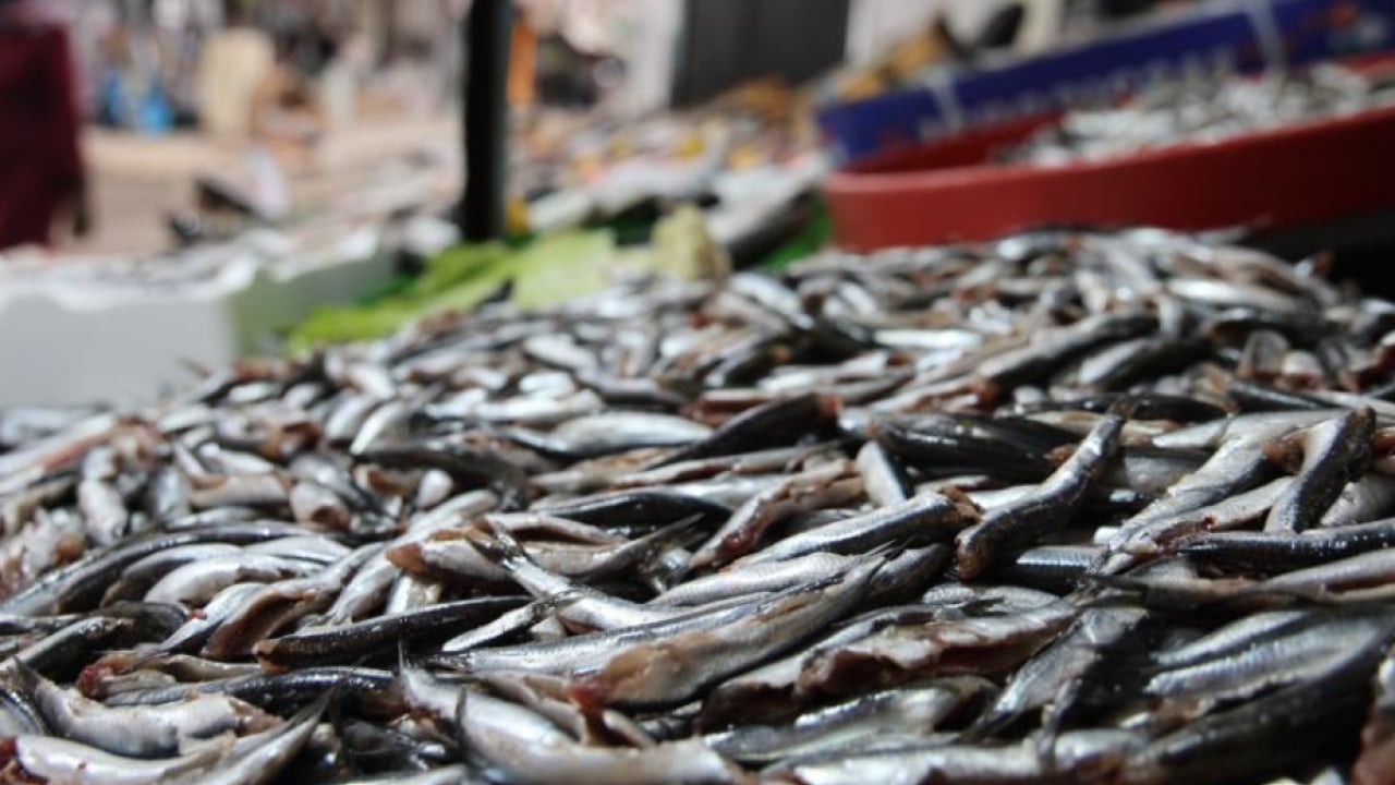 Foto - Havalar soğudu balığa ilgi arttı